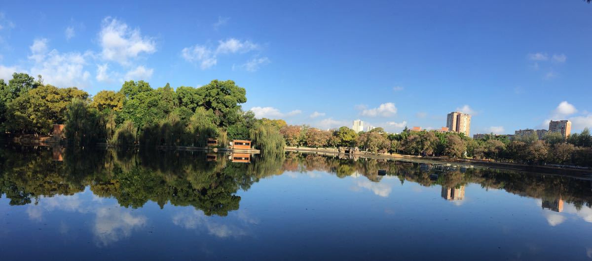 【攜程攻略】昆明翠湖公園景點,冬季有海鷗,藍天白雲碧水之間飛著海鷗