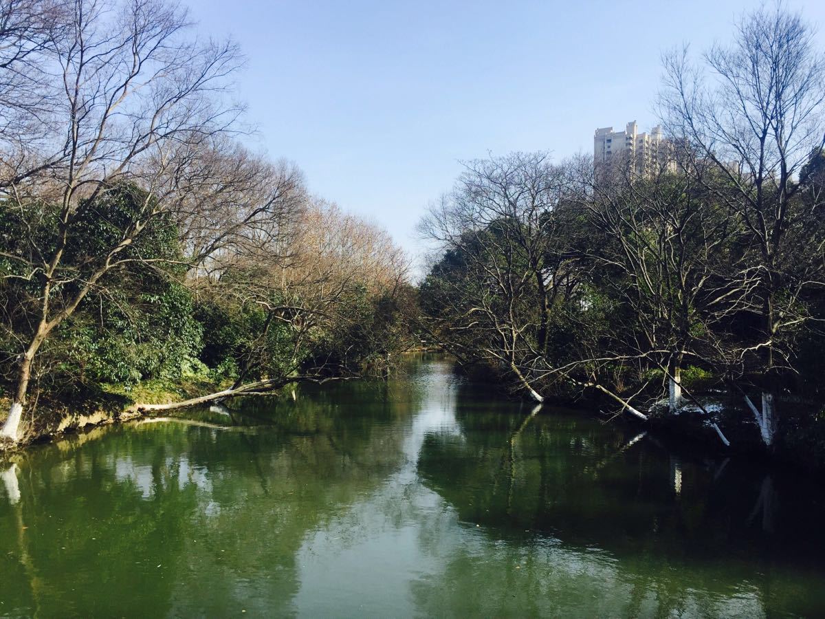 【攜程攻略】常州紅梅公園景點,離常州站很近,走路大概1km很快就能走