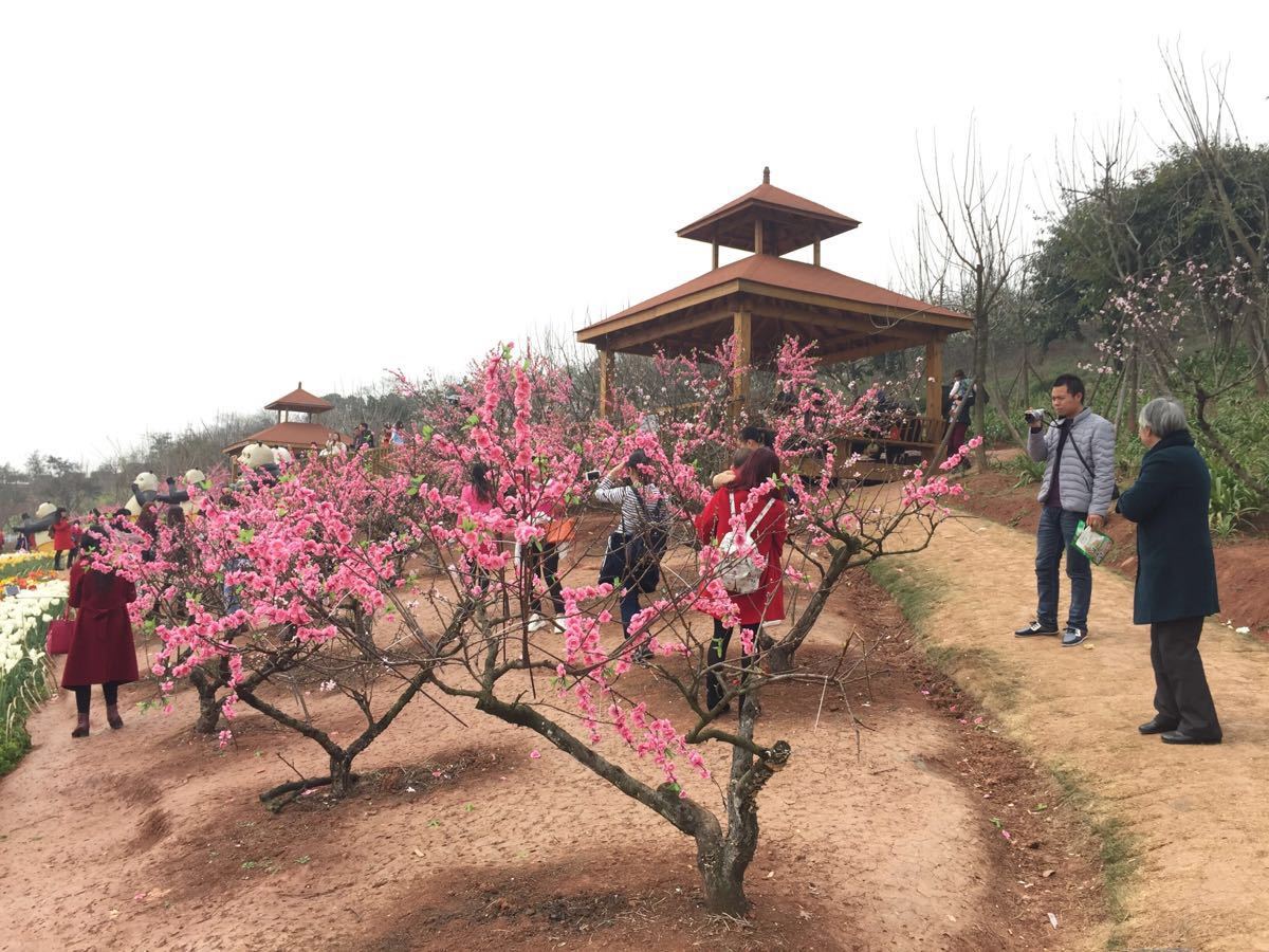 漫花莊園