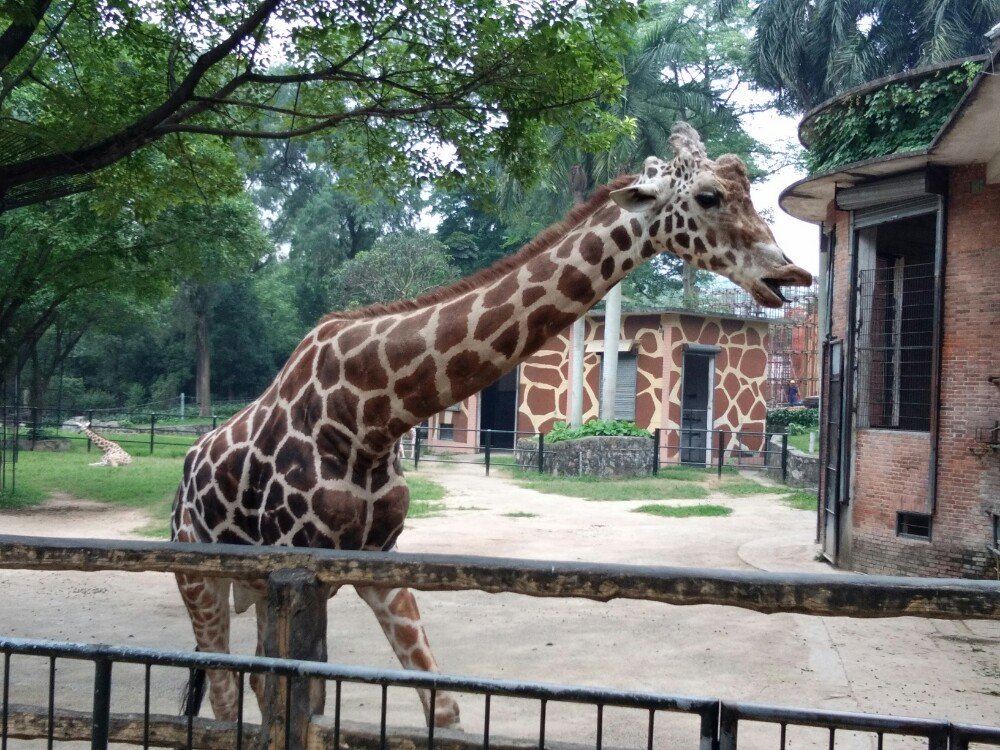 廣州動物園