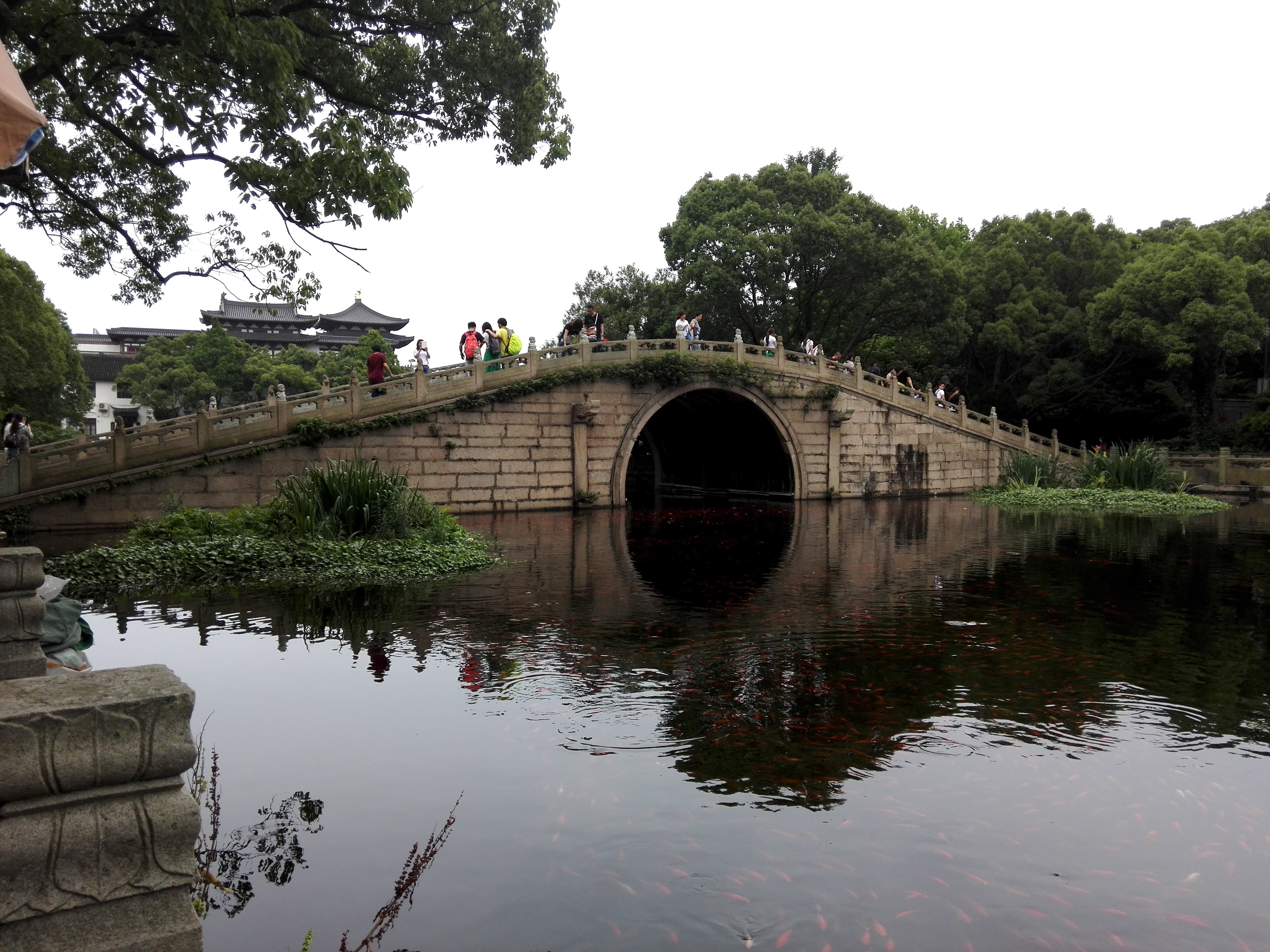 2019普濟禪寺_旅遊攻略_門票_地址_遊記點評,普陀山旅遊景點推薦 - 去