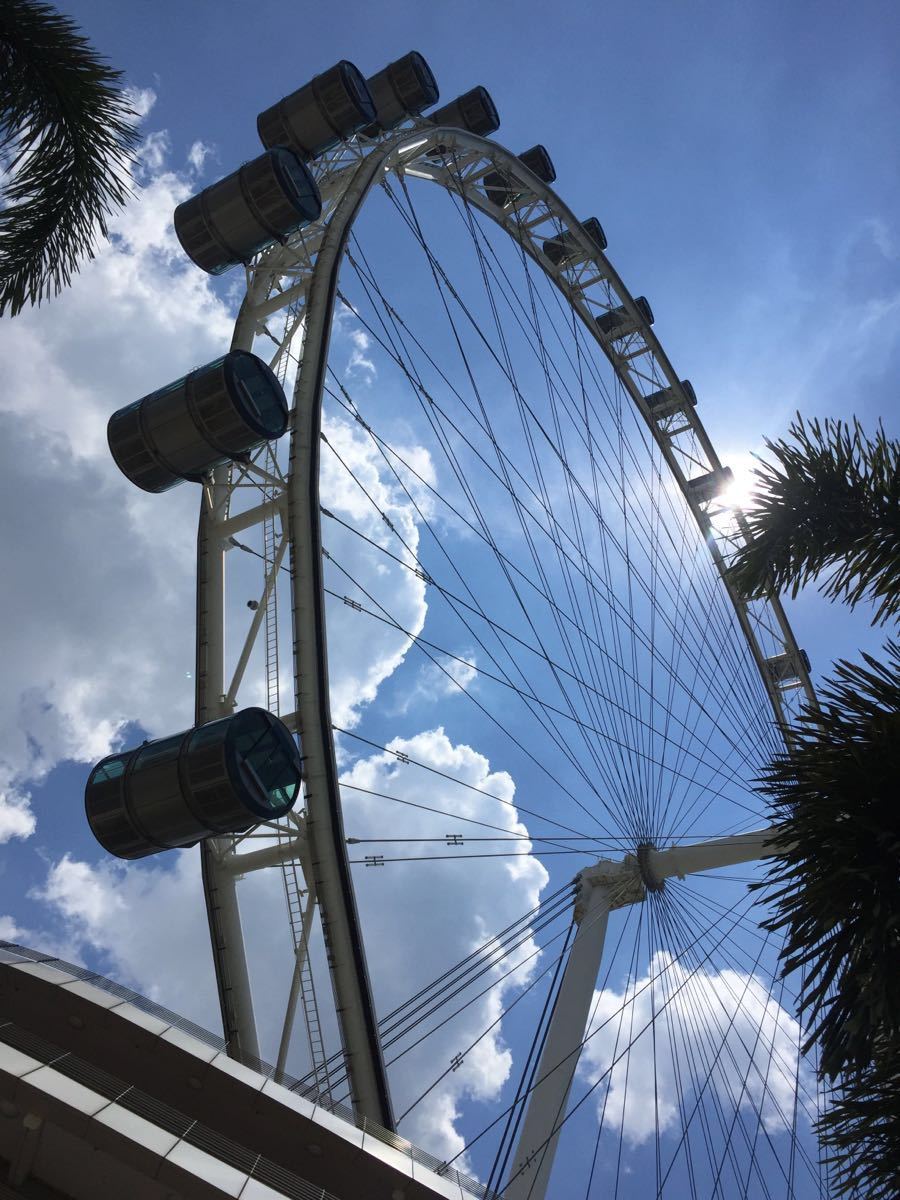 新加坡摩天观景轮