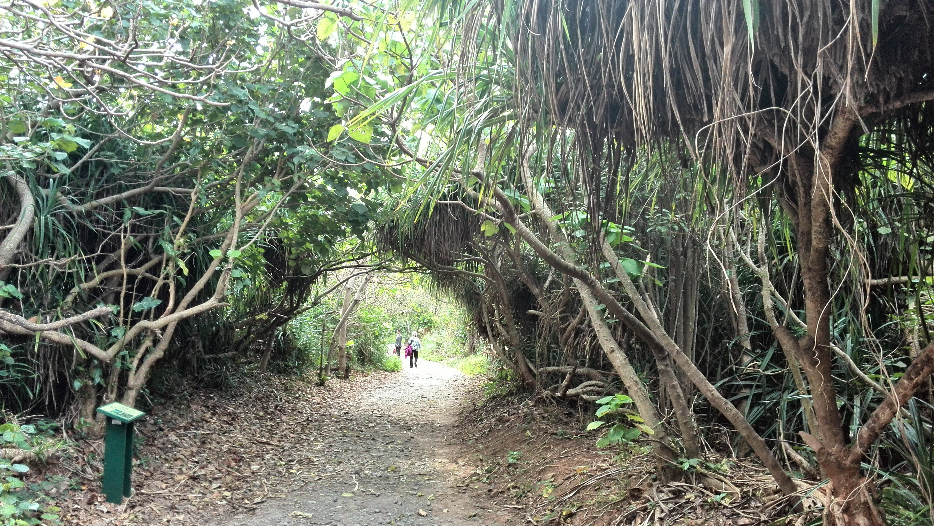 龙坑生态保护区