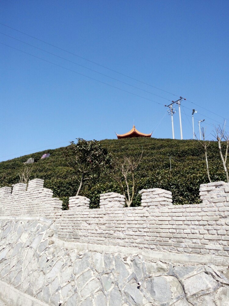 临海羊岩山茶文化园图片