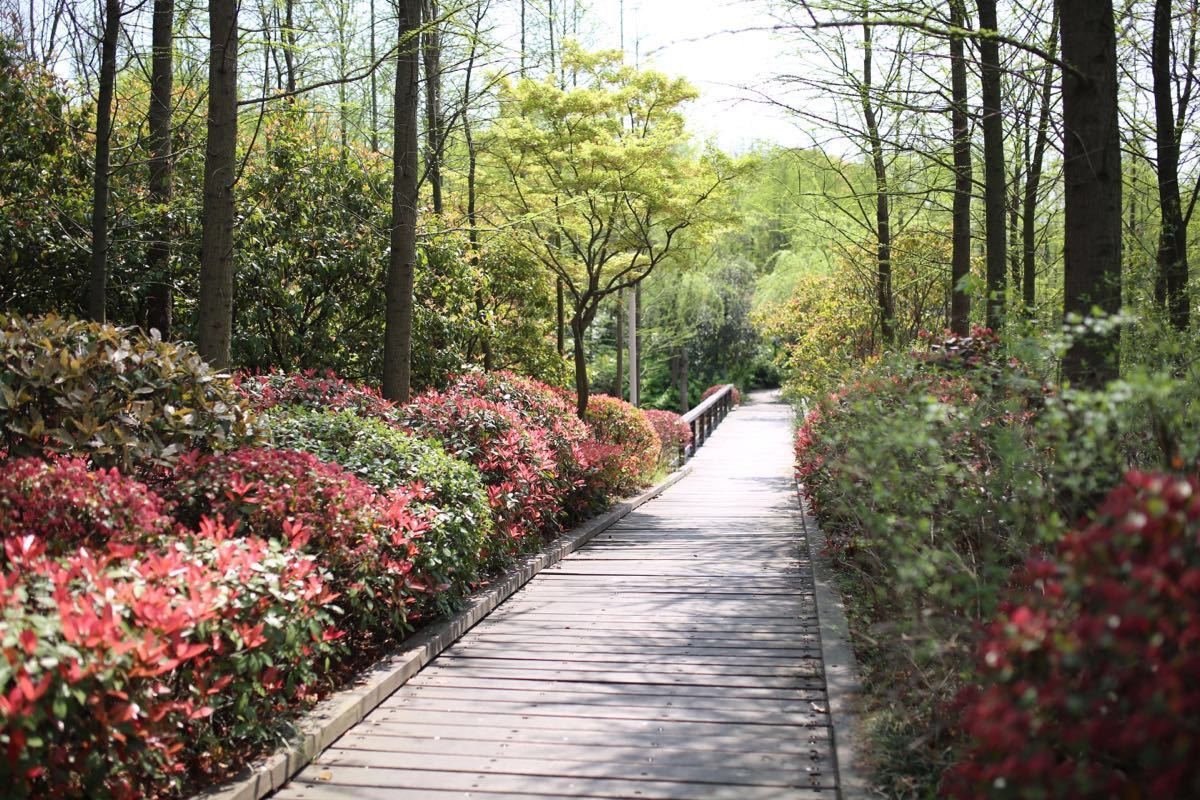 無錫長廣溪國家溼地公園