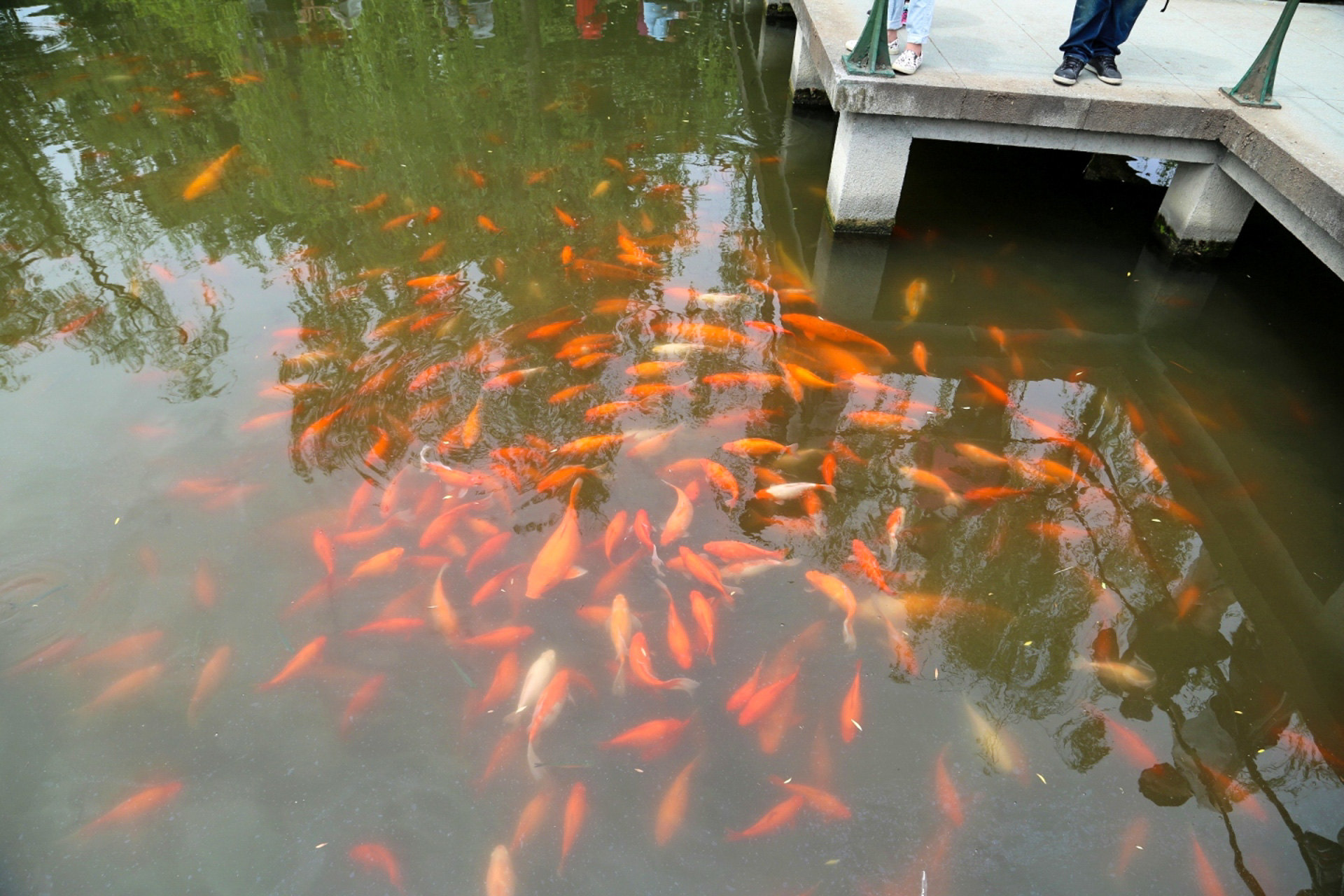 【攜程攻略】杭州花港觀魚適合家庭親子旅遊嗎,花港觀魚家庭親子景點