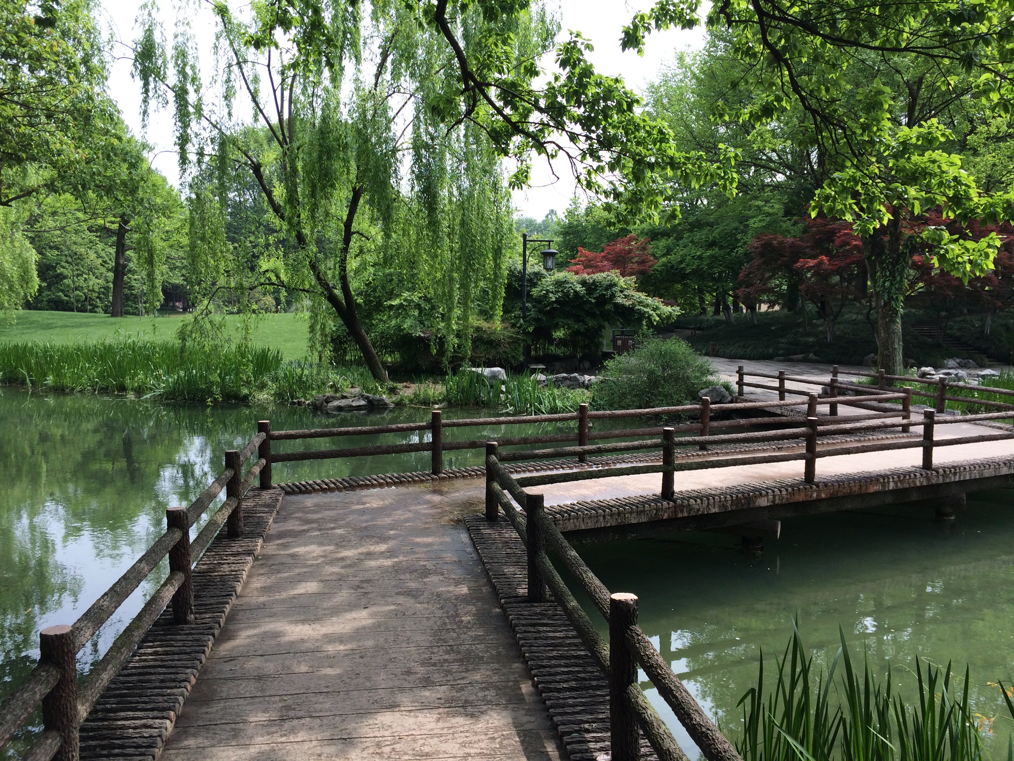 【携程攻略】杭州太子湾公园景点,我坐车到太子湾公园,这里风景美如画