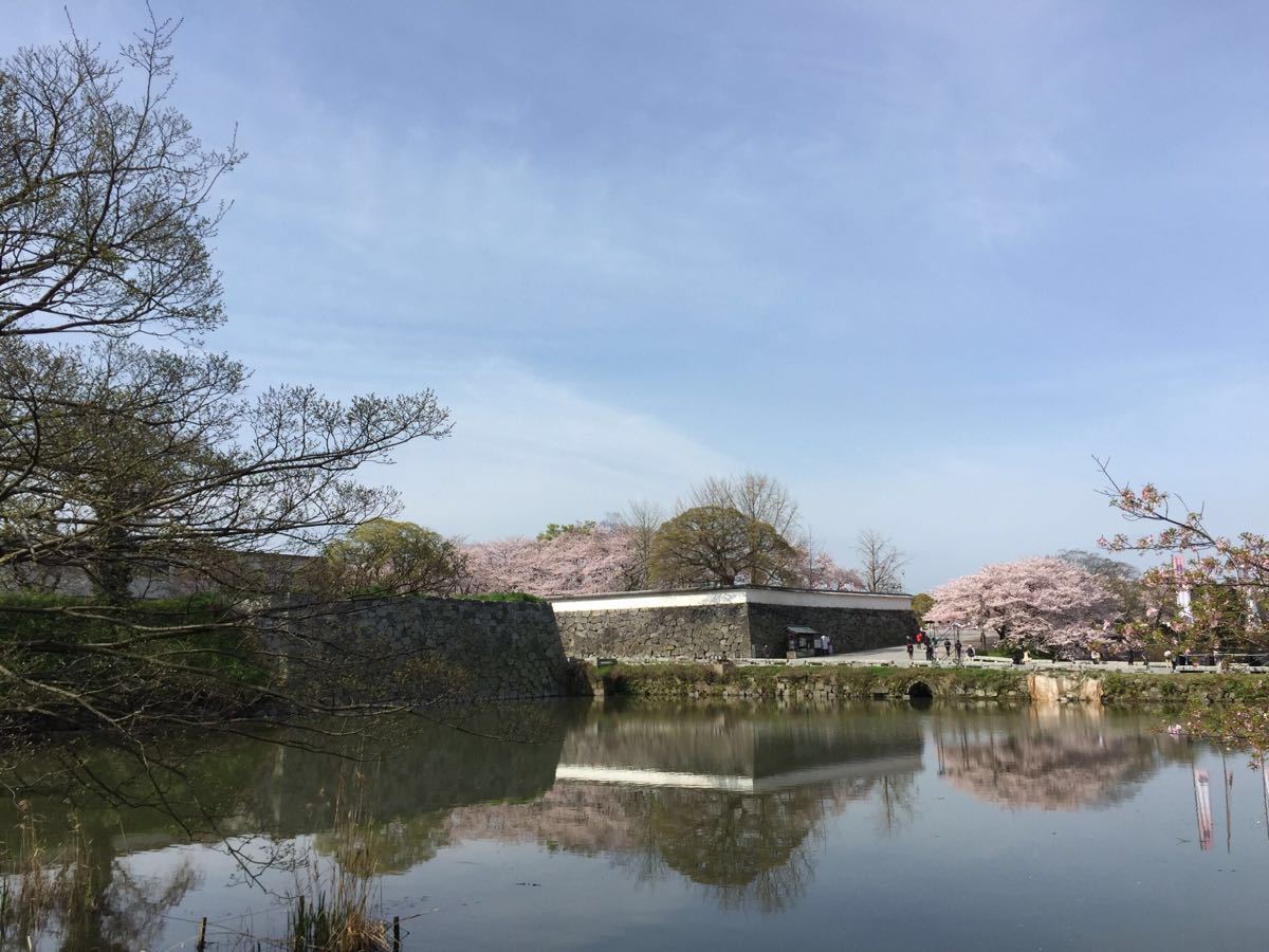 福冈舞鹤公园好玩吗,福冈舞鹤公园景点怎么样_点评_评价【携程攻略】