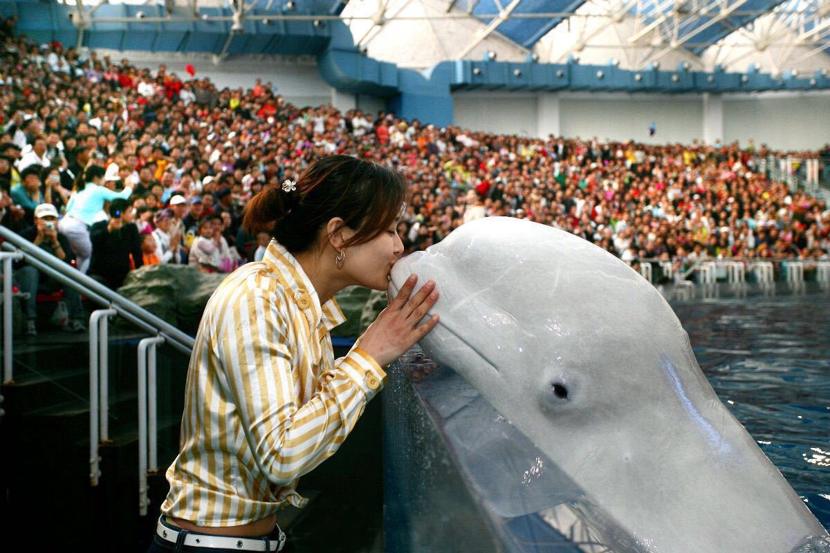 2019老虎灘極地海洋動物館_旅遊攻略_門票_地址_遊記點評,大連旅遊