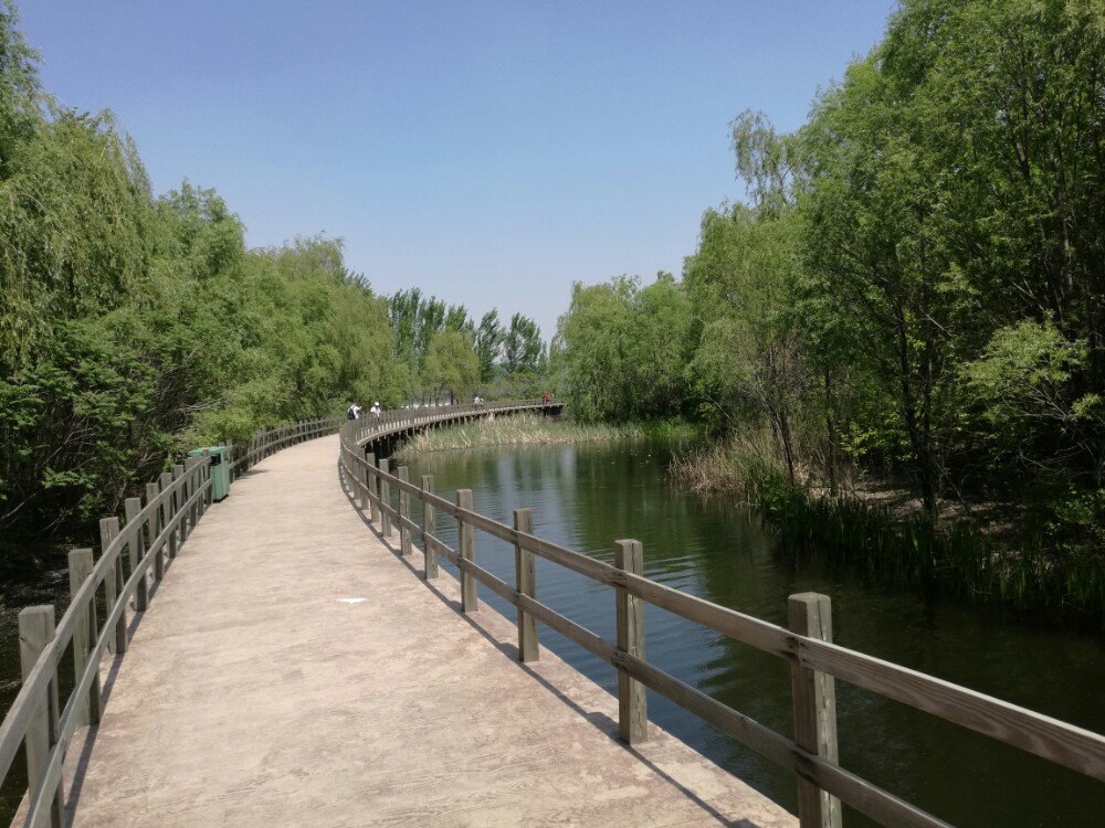 2019瀋陽鳥島_旅遊攻略_門票_地址_遊記點評,瀋陽旅遊景點推薦 - 去