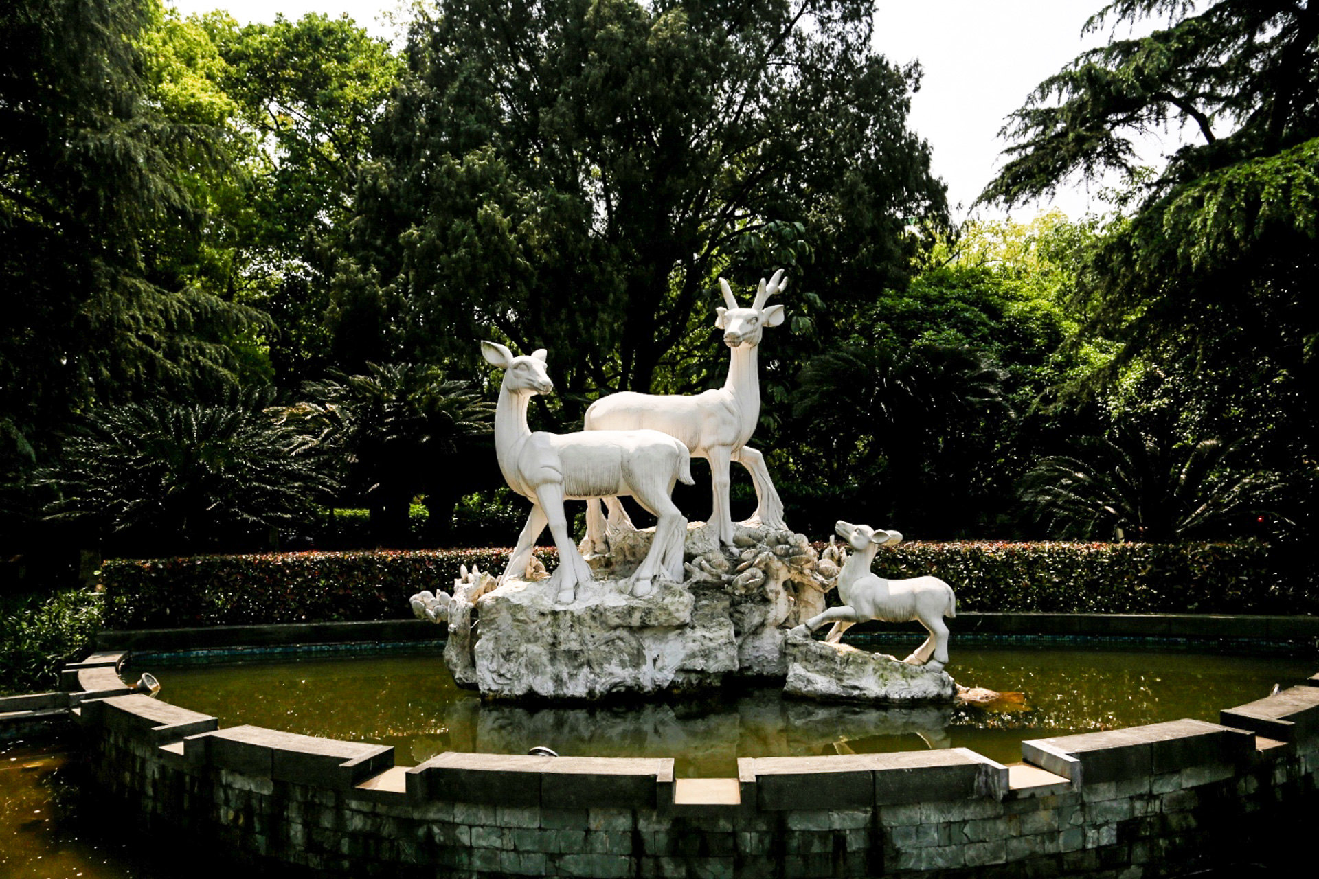 2023中山公园游玩攻略,白鹿雕像是温州白鹿城名称的...【去哪儿攻略】