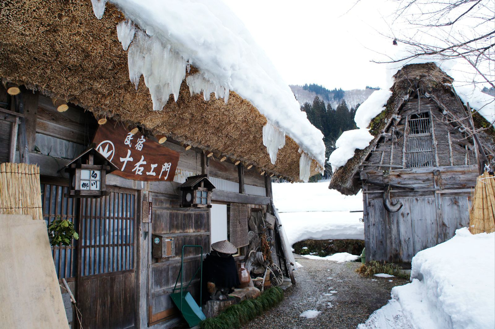 白川鄉合掌村