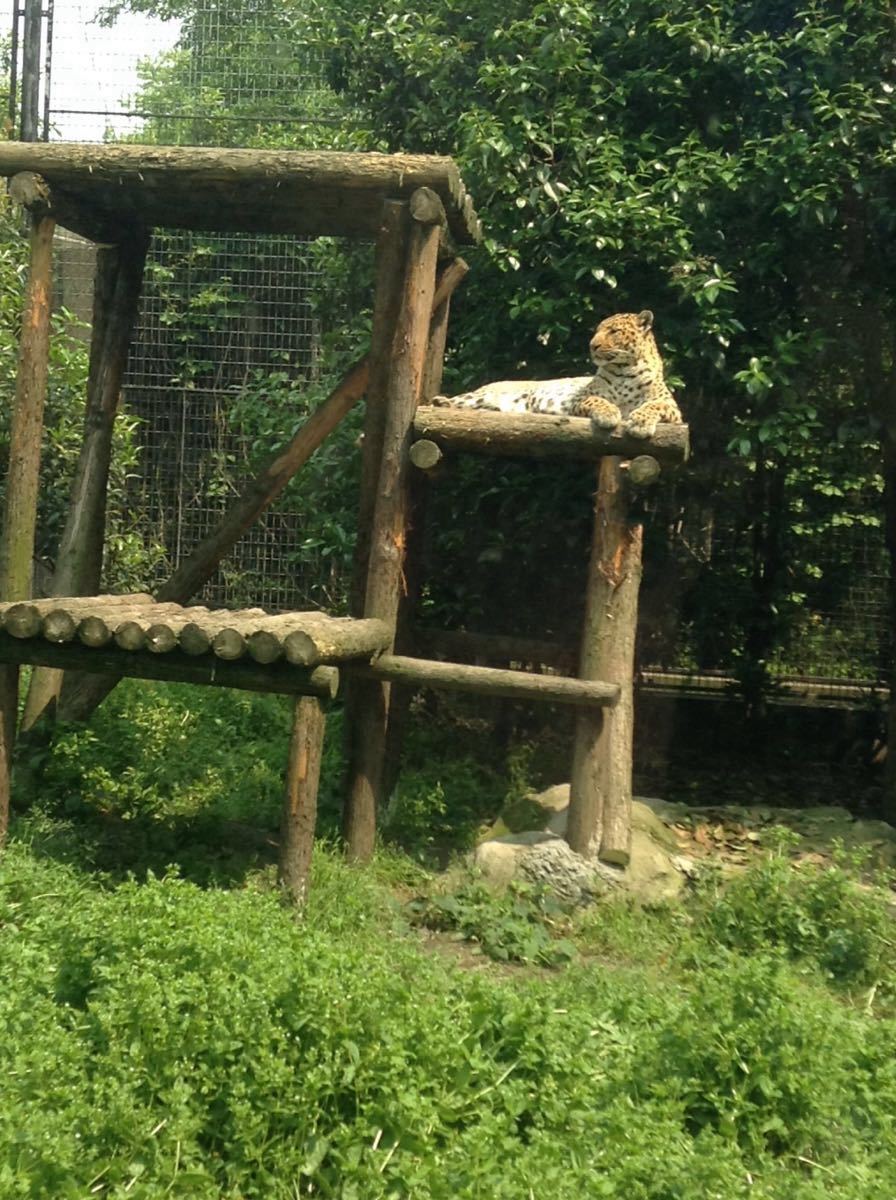 上海好玩的地方|上海最好玩的6个地方！ 一日看人间繁华，适合一家人游玩！