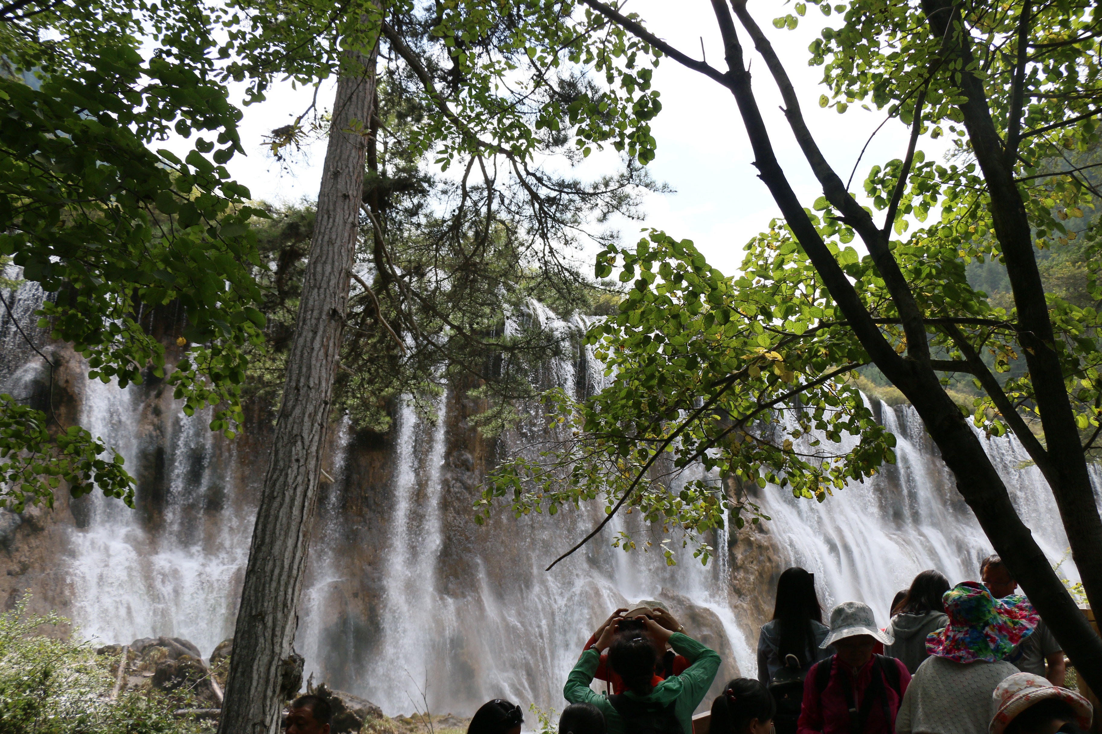 【携程攻略】九寨沟诺日朗瀑布景点,诺日朗瀑布位于中国四川省九寨沟，海拔2365米，瀑宽270米，高24.5米…