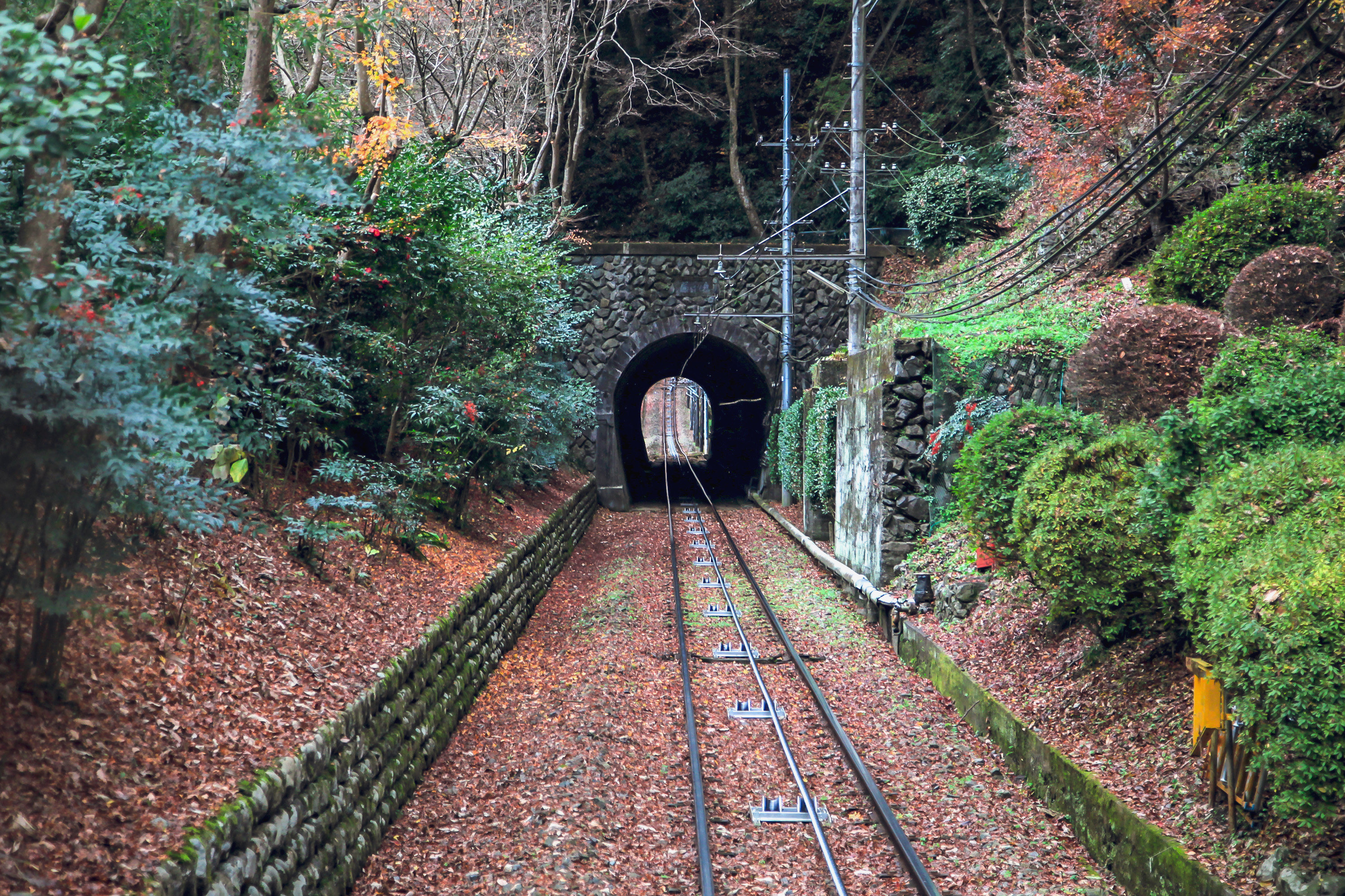 东京高尾山攻略 高尾山门票价格多少钱 团购票价预定优惠 景点地址图片 携程攻略