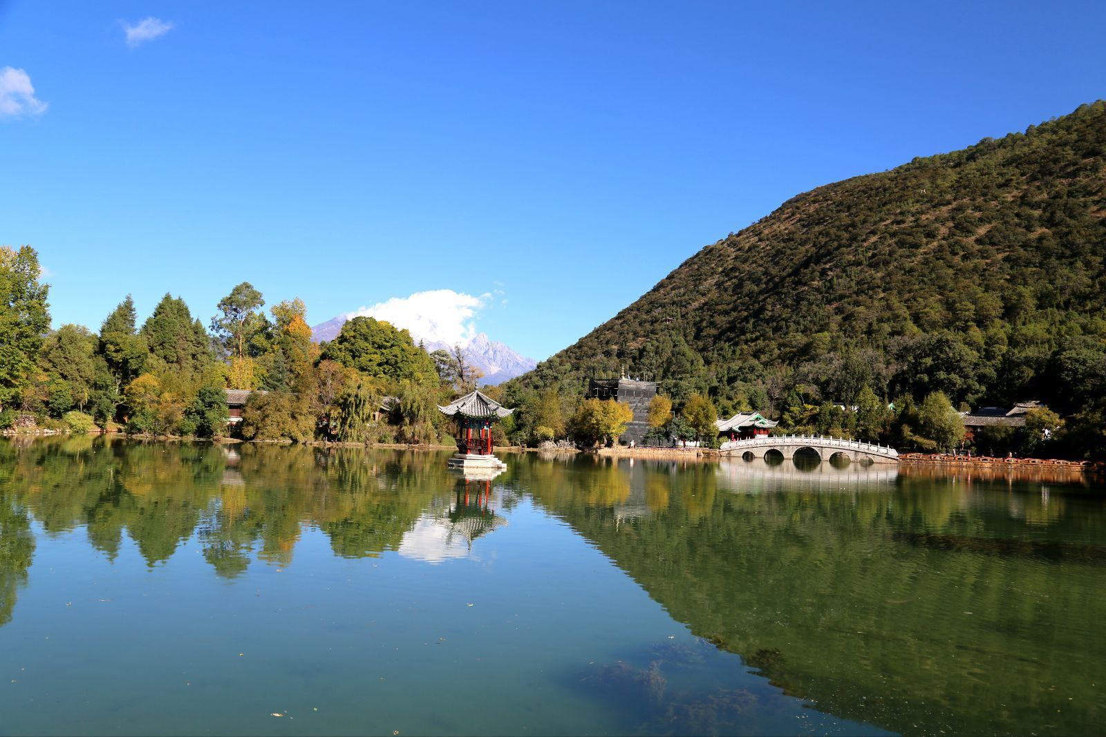 成都黑龙潭旅游风景区图片