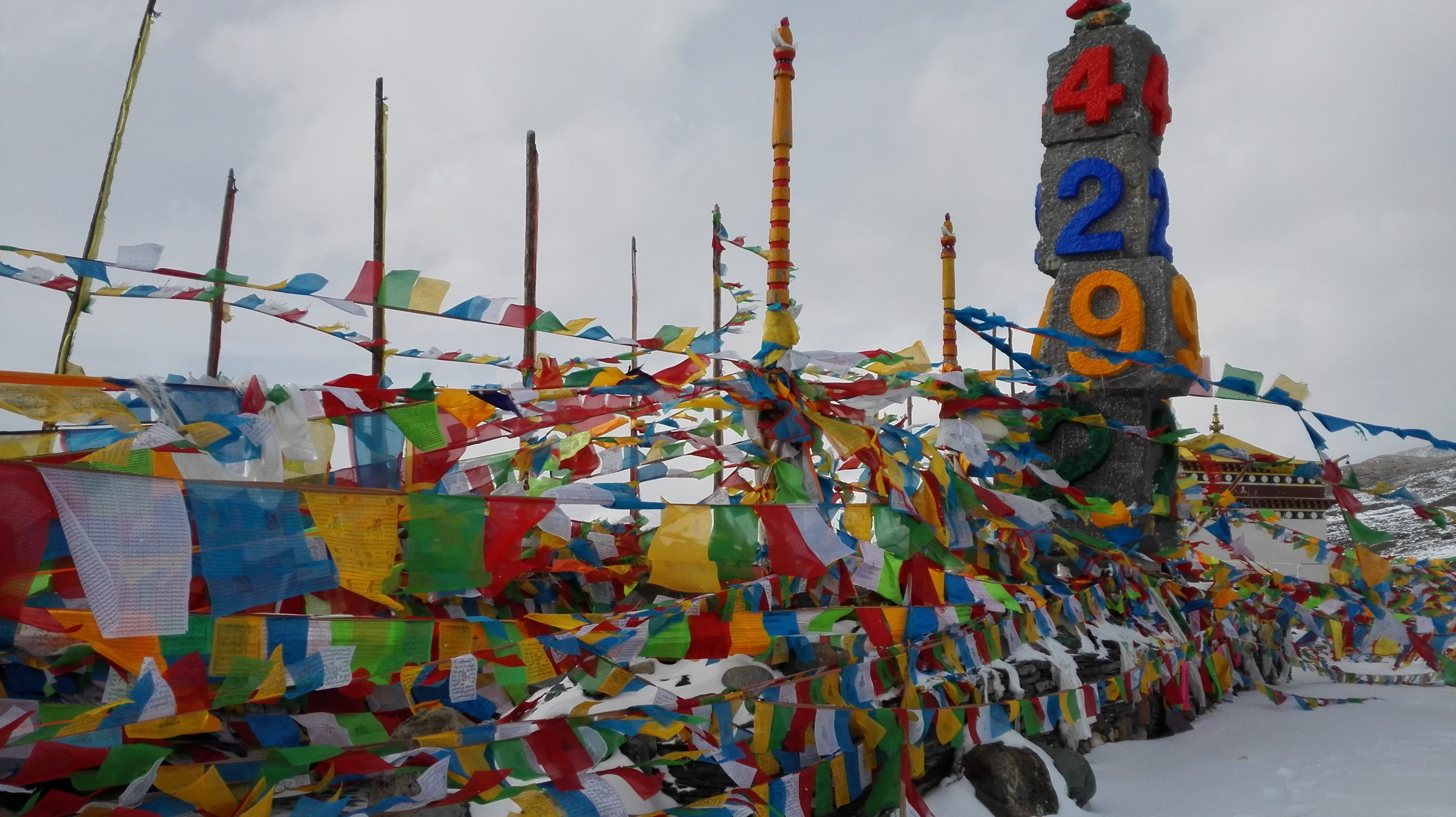 2023白马雪山垭口游玩攻略,风雪令能见度下降至不足百米.