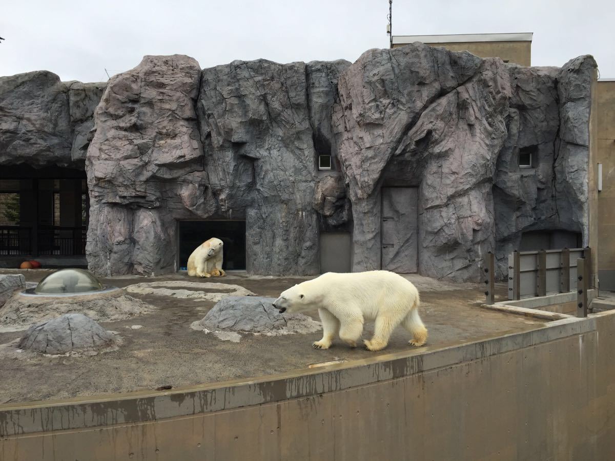 旭山动物园