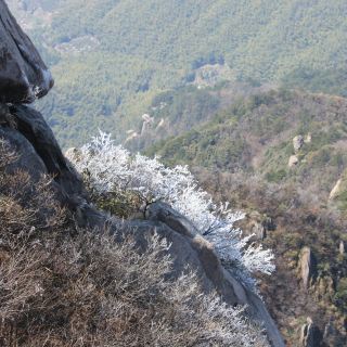 九华山猴子把奶攻略-猴子把奶门票价格多少钱-团购票价预定优惠-景点