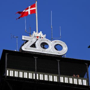 哥本哈根动物园旅游景点图片