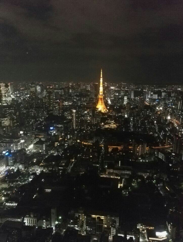 携程攻略 东京森美术馆景点 好漂亮的夜景 看东京塔最好的地方 还能看到天空树 和更远的东京湾