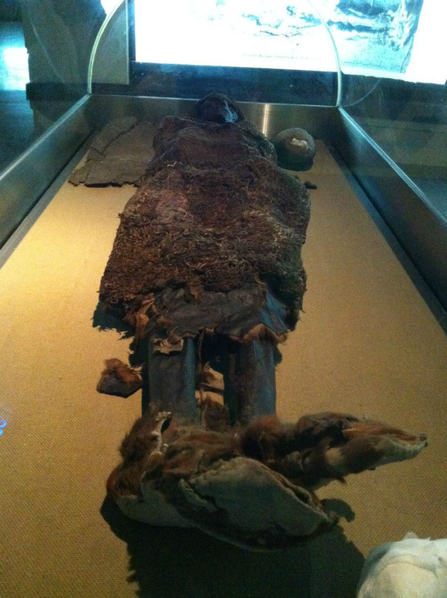 新疆维吾尔自治区博物馆半日游