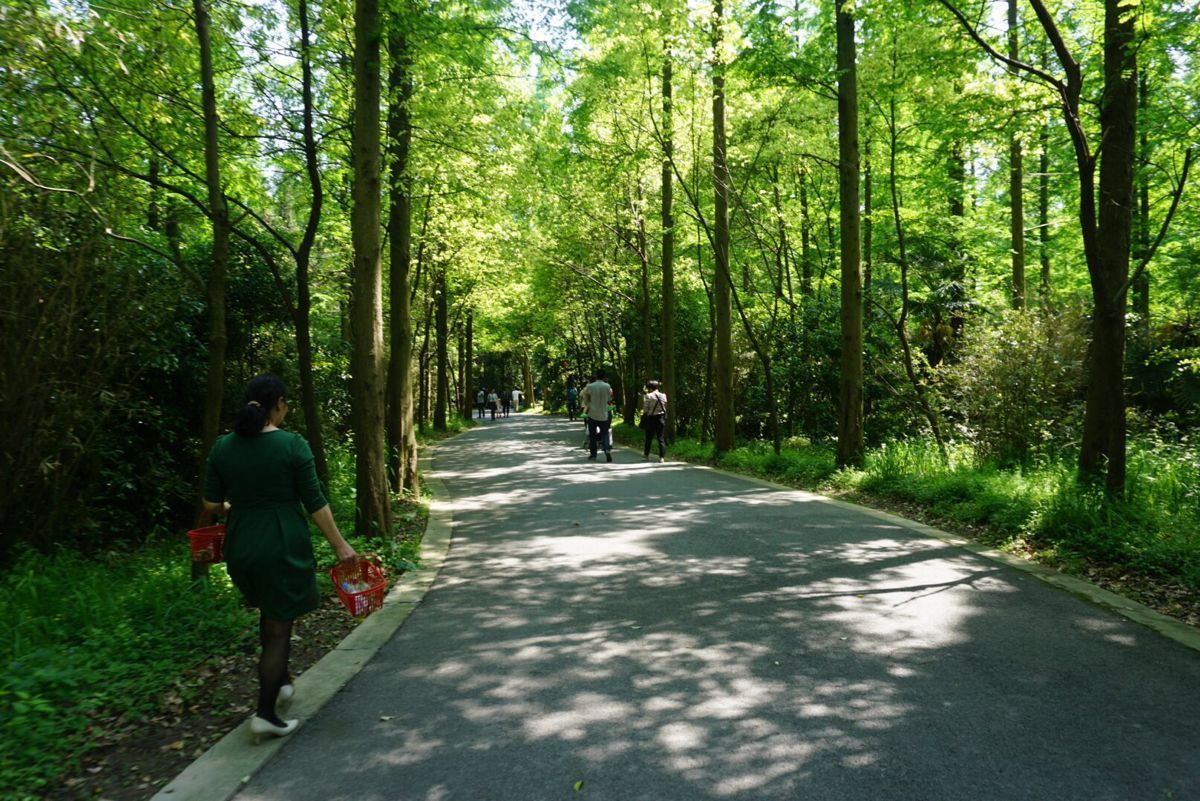 東平國家森林公園