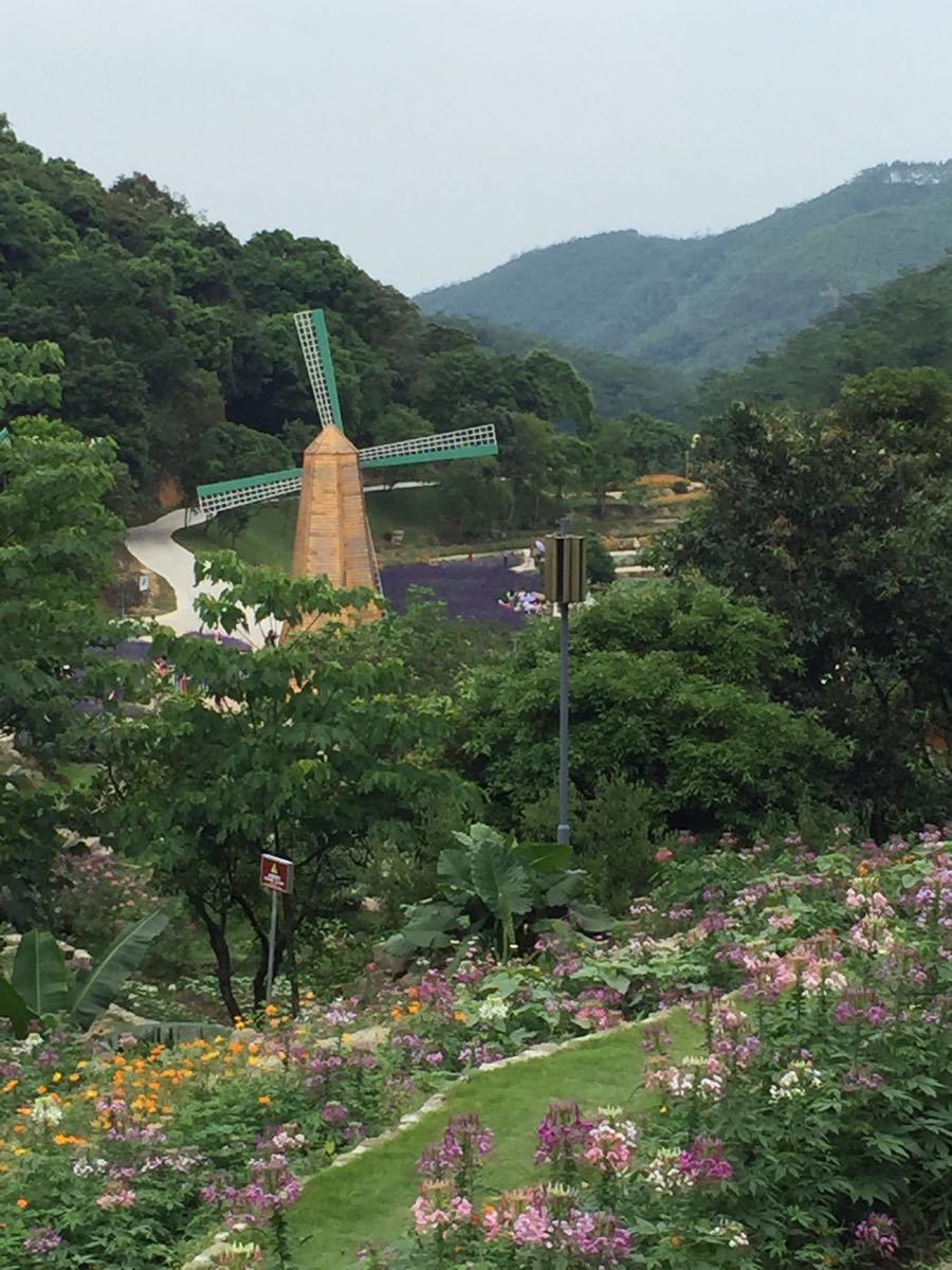 广州二龙山花园