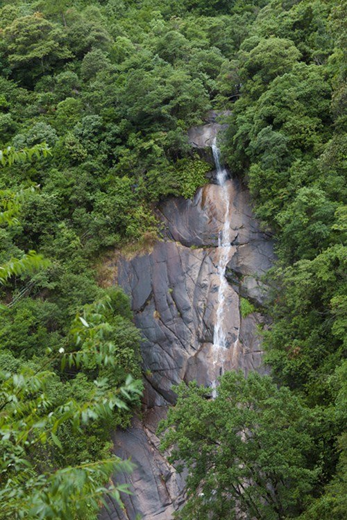 龍川大峽谷朋友出遊景點推薦/點評