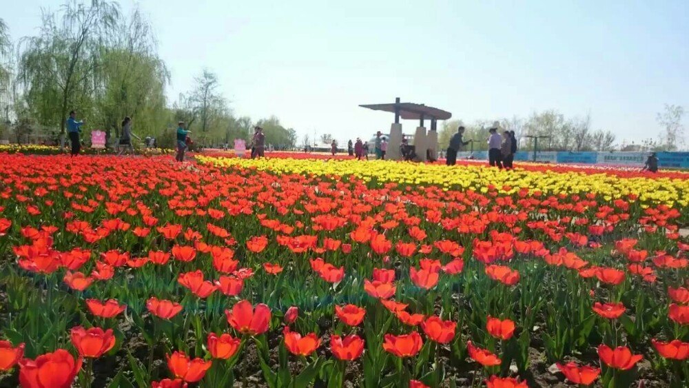 五家渠青湖御园生态旅游度假区好玩吗,五家渠青湖御园生态旅游度假区