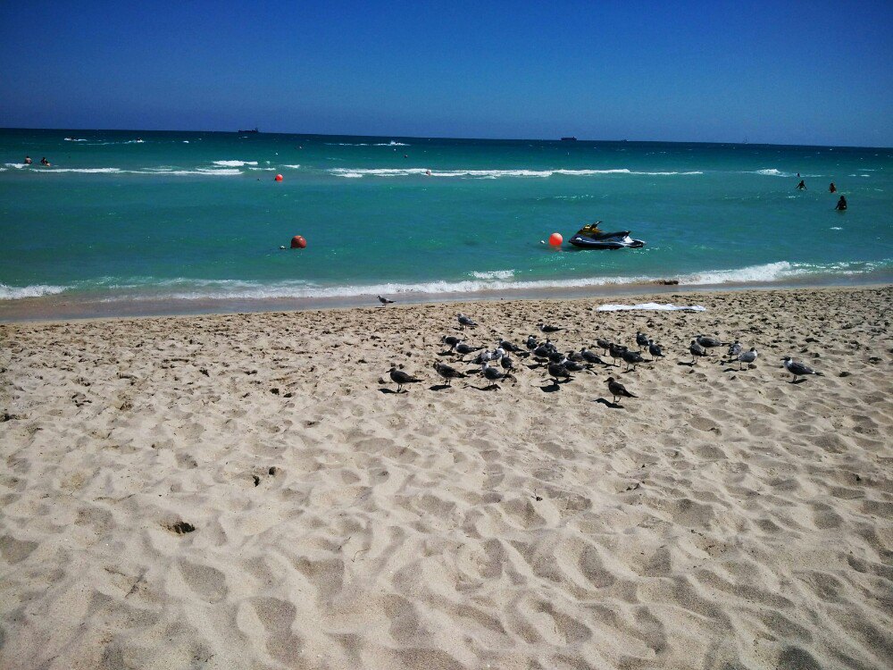 2020南海滩-旅游攻略-门票-地址-问答-游记点评,迈阿