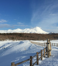 行之有u201c道u201d之日语盲玩转北海道（道央、道南、道东） - 弟子屈町游记 