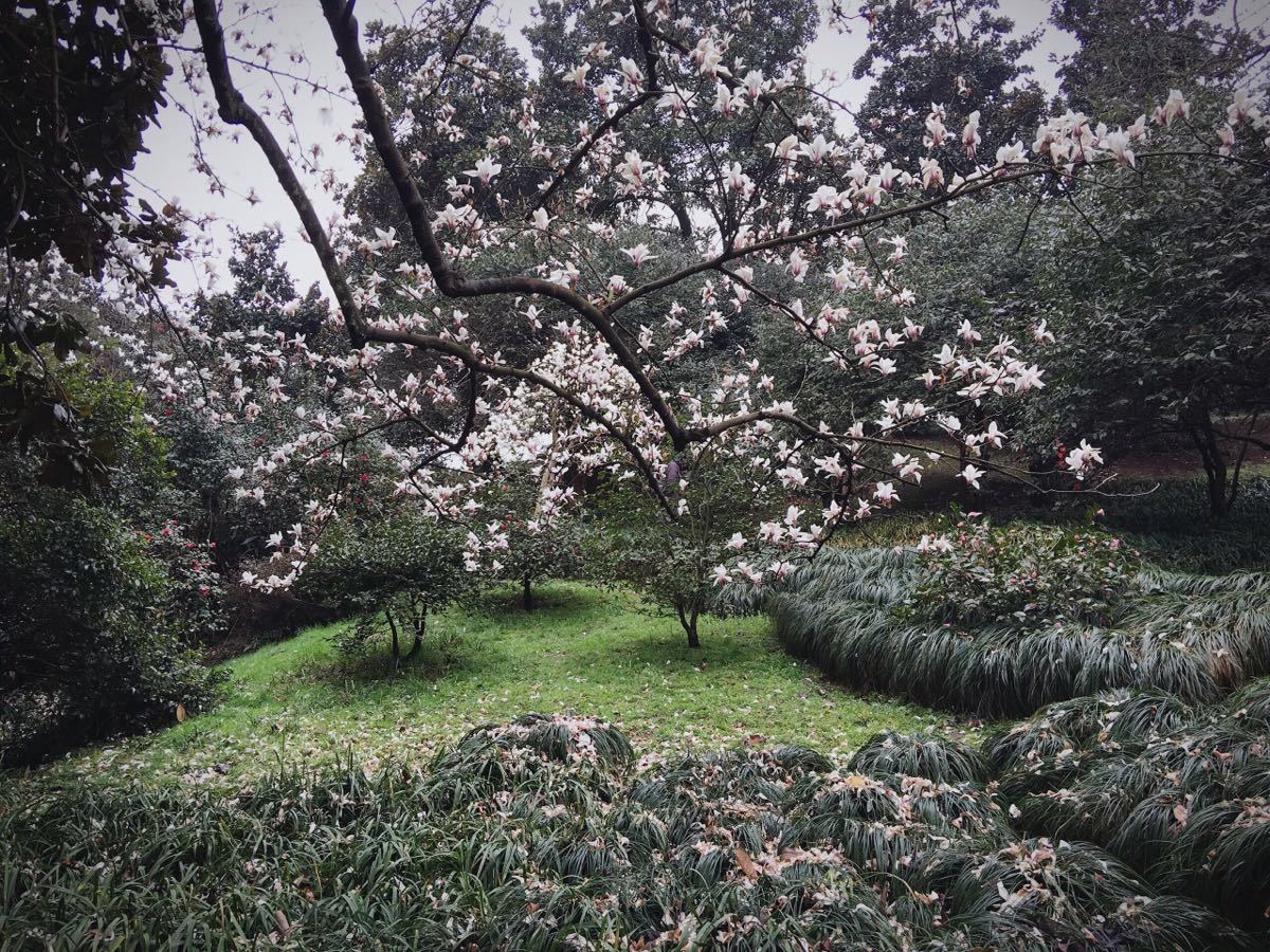 杭州植物園