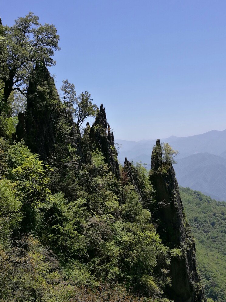 2019南宮山國家森林公園_旅遊攻略_門票_地址_遊記點評,嵐皋旅遊景點