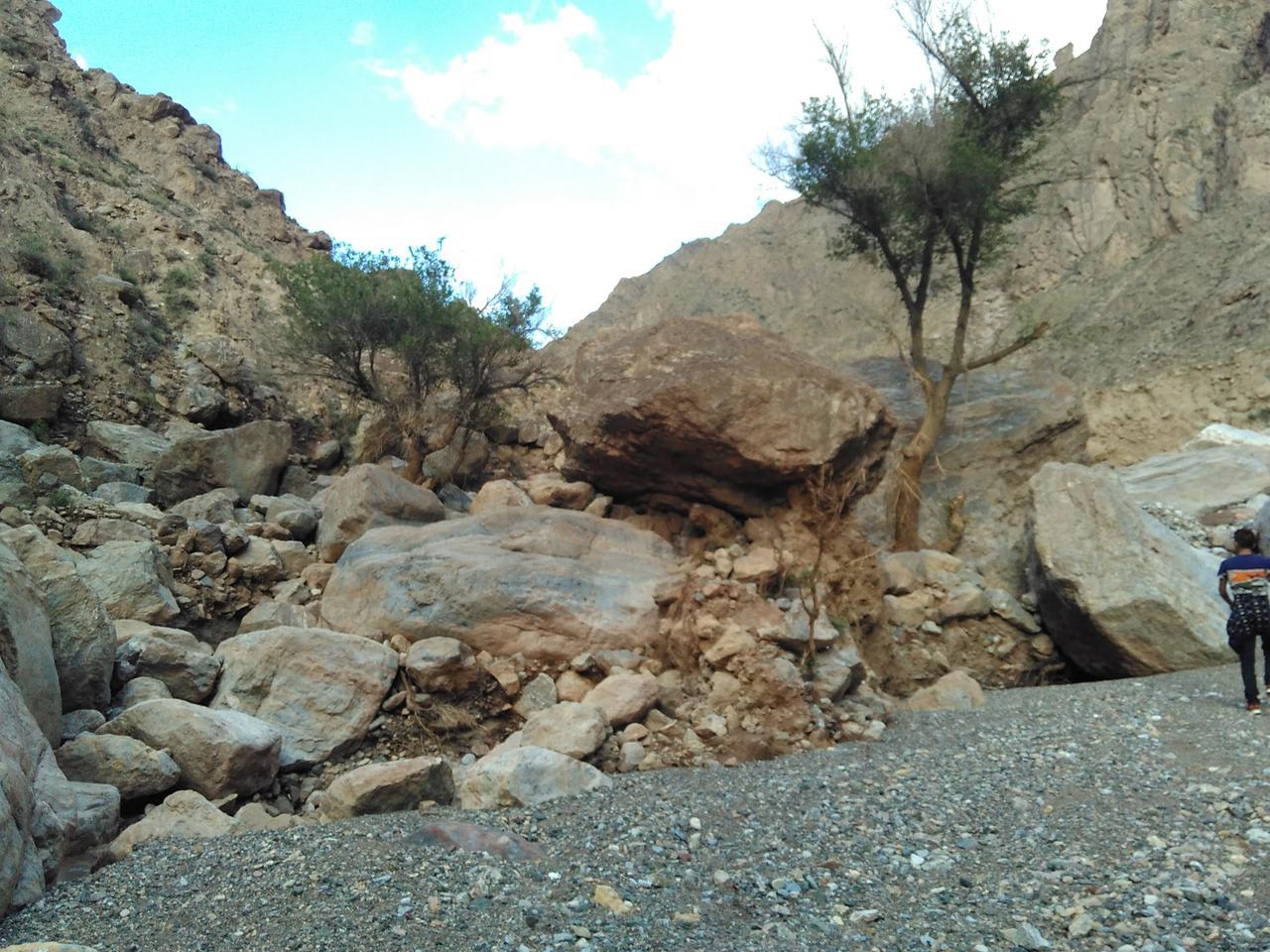 张掖东大山自然保护区攻略 东大山自然保护区门票价格多少钱 团购票价预定优惠 景点地址图片 携程攻略