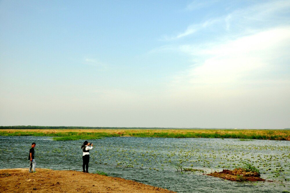 衡水湖旅遊景點攻略圖