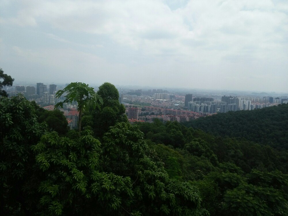 2019旗峰公園_旅遊攻略_門票_地址_遊記點評,東莞旅遊玩樂推薦 - 去