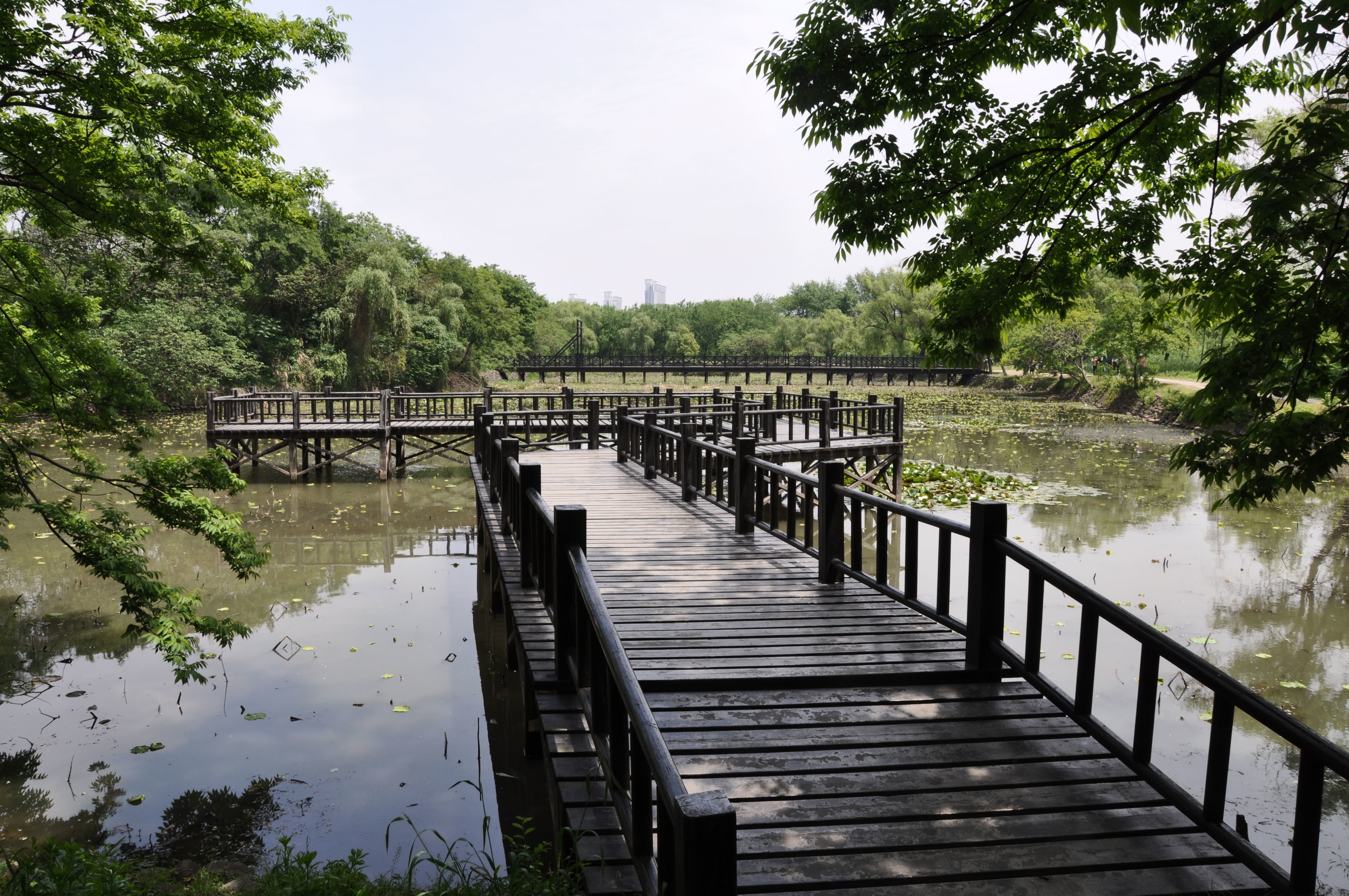 南京的后花园固城湖水慢城，不仅风景秀美，还有一座湿地动物园|高淳|固城湖|固城_新浪新闻