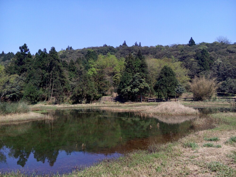 遂川冷水坑风景区图片