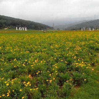 丹東百花谷攻略-百花谷門票價格多少錢-團購票價預定優惠-景點地址