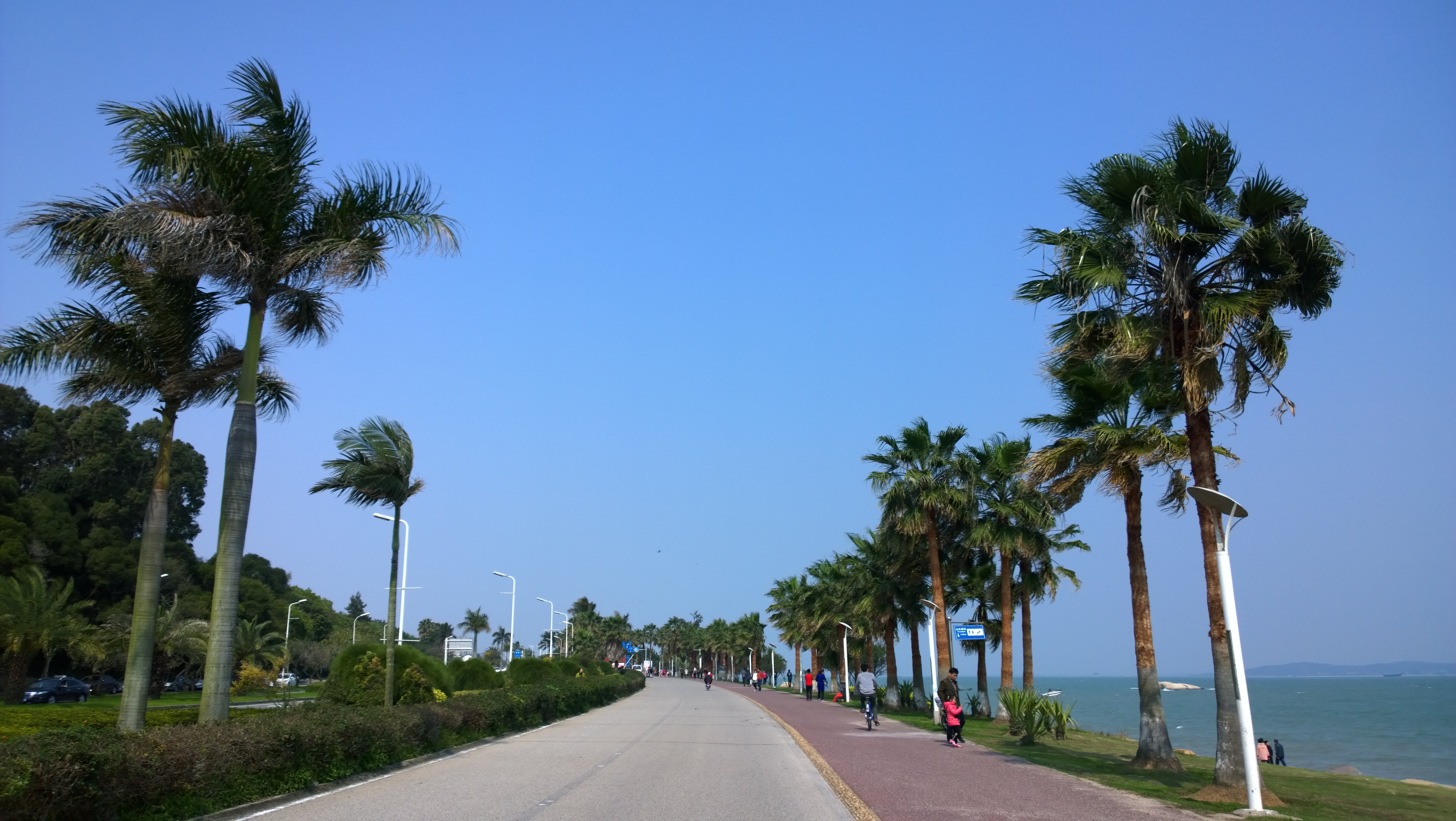 【携程攻略】厦门厦门大学景点,沙滩建议去厦门大学那边的环岛路去看