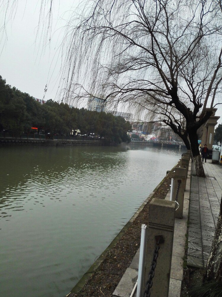 餘姚龍山公園好玩嗎,餘姚龍山公園景點怎麼樣_點評_評價【攜程攻略】