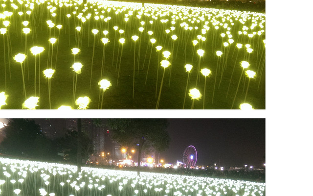 香港彩灯会 Led灯玫瑰花海 摩天轮 天星码头和求婚回来分享喜悦 香港游记攻略 携程攻略