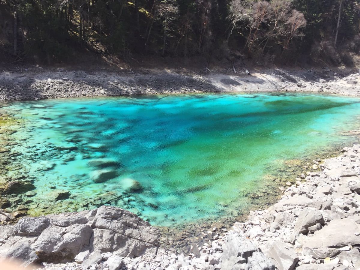 2019五彩池_旅遊攻略_門票_地址_遊記點評,九寨溝旅遊景點推薦 - 去