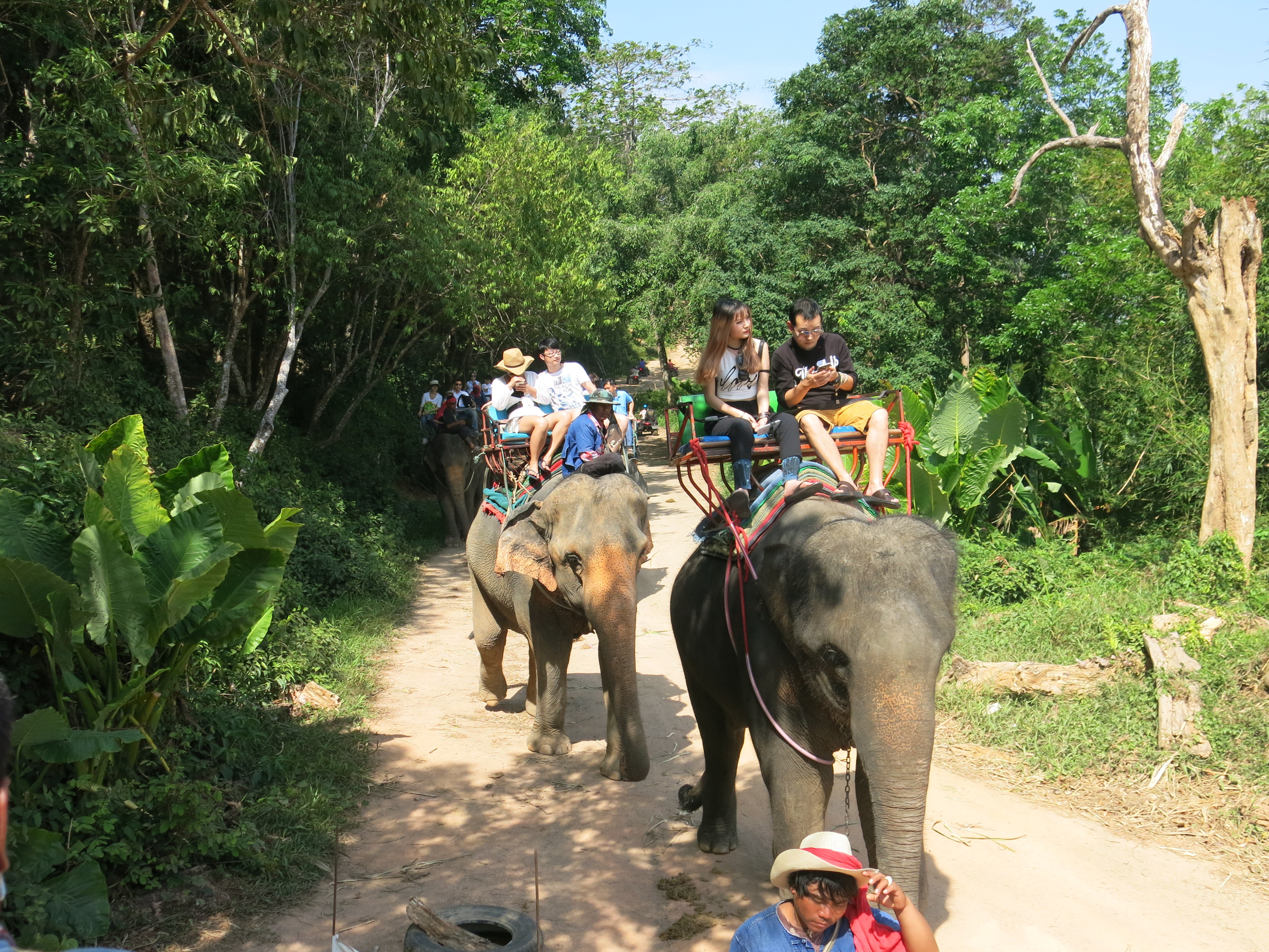 普吉 山顶大佛 猴子表演 骑大象半日游【prayachang】
