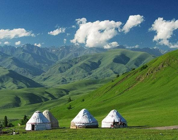 草原 排名_草原手机壁纸(2)