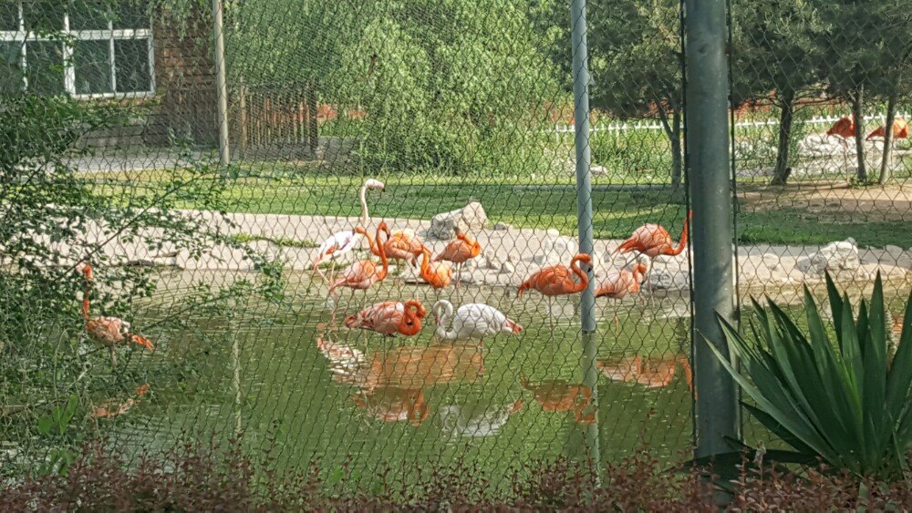 太原動物園