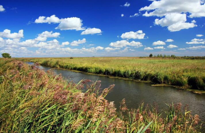 双鸭山七星河湿地级自然保护区好玩吗,双鸭山七星河湿地级