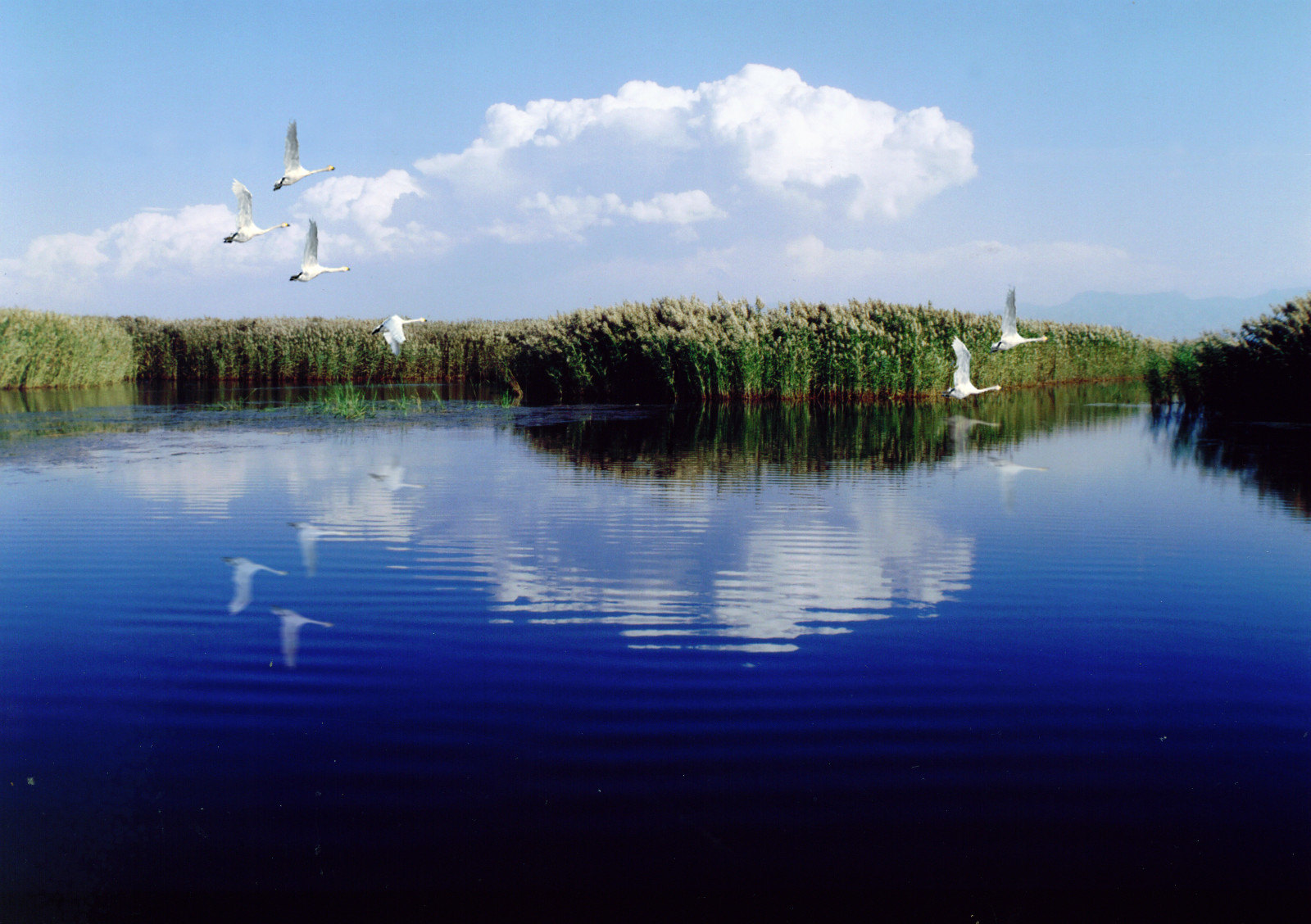 纳林湖景区图片
