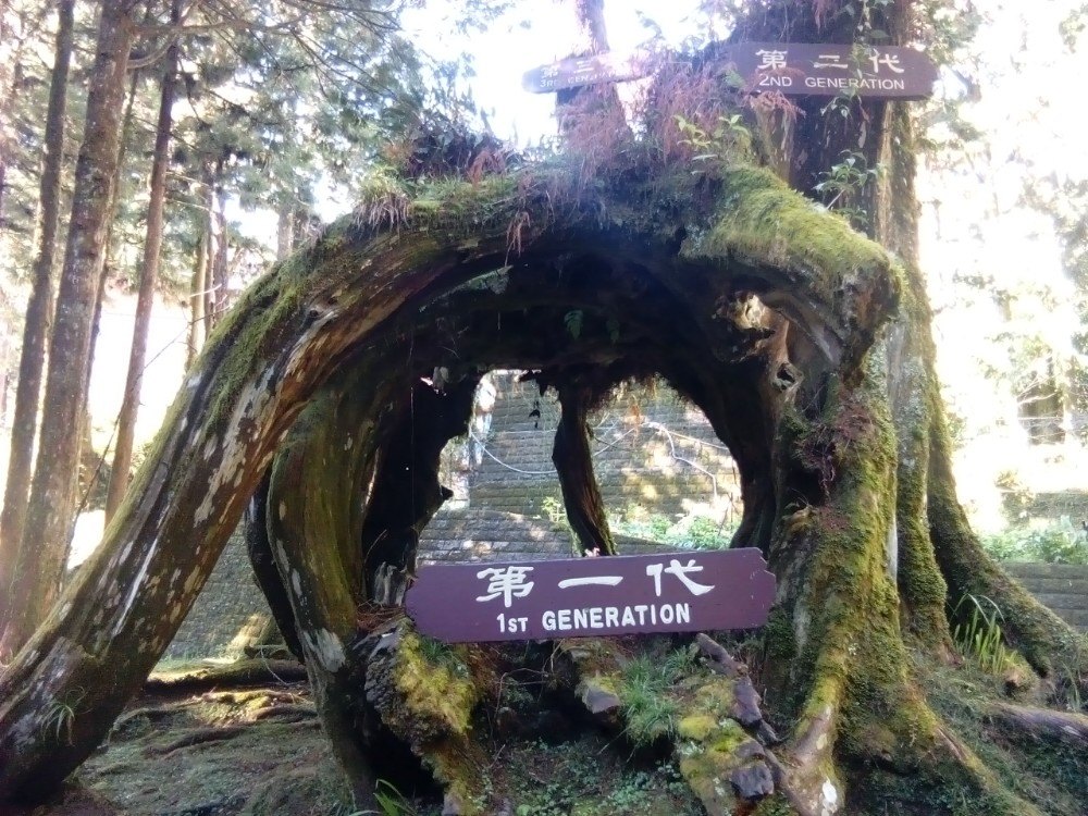 阿里山国家风景区